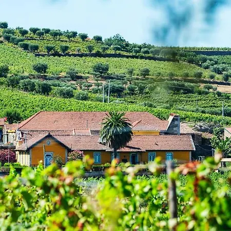 Quinta Do Monte Travesso - Country & Winery