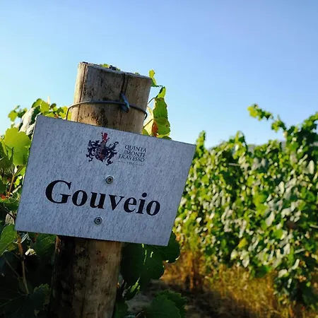 Pensión Quinta Do Monte Travesso - Country & Winery *