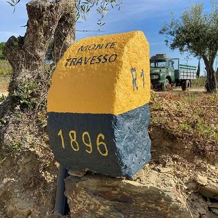 Quinta Do Monte Travesso - Country & Winery 4* タブアソ