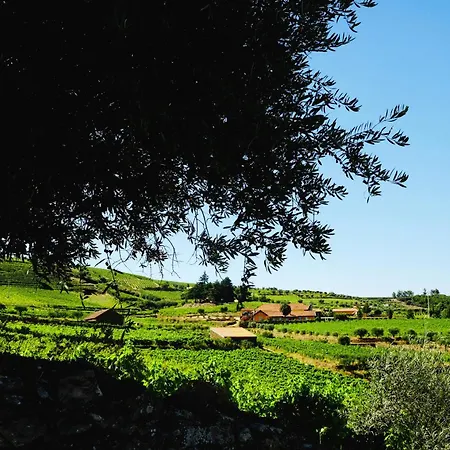 Quinta Do Monte Travesso - Country & Winery 4*
