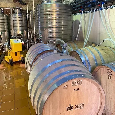 Quinta Do Monte Travesso - Country & Winery Pensionat 4*