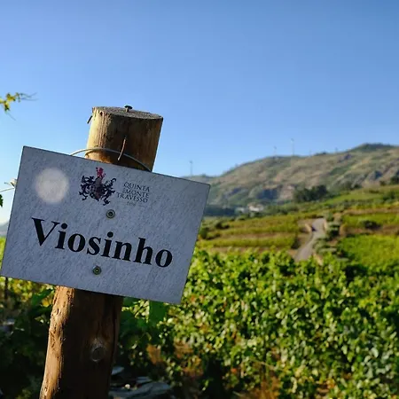 Guest house Quinta Do Monte Travesso - Country & Winery *