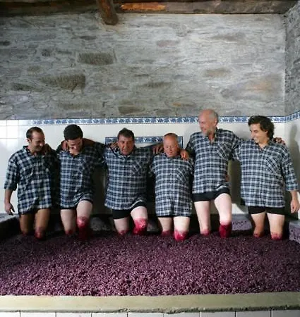 Pensionat Quinta Do Monte Travesso - Country & Winery Tabuaço