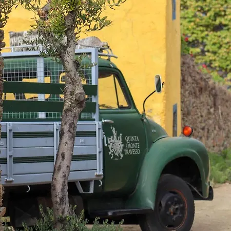 Quinta Do Monte Travesso - Country & Winery タブアソ