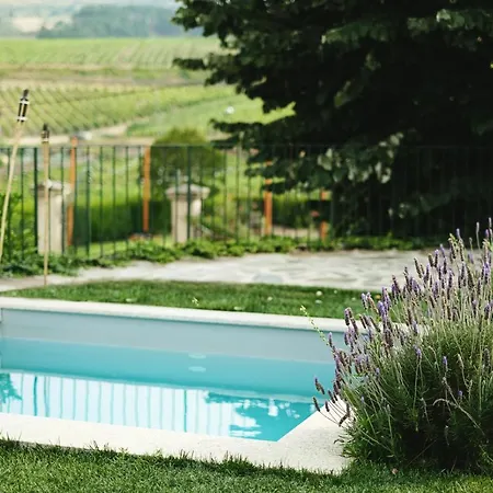 Quinta Do Monte Travesso - Country & Winery 4*