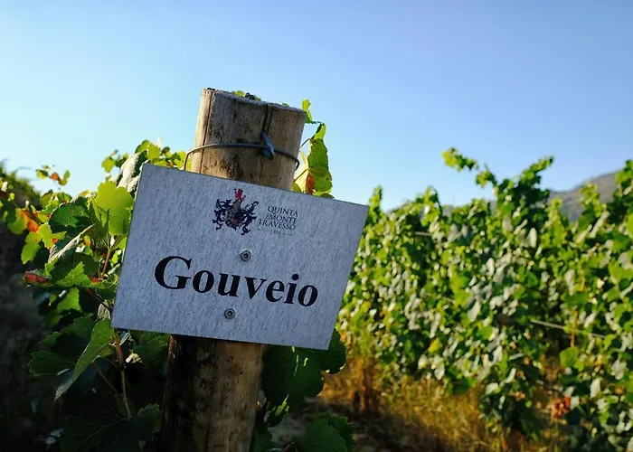 Gasthof Quinta Do Monte Travesso - Country & Winery 4*