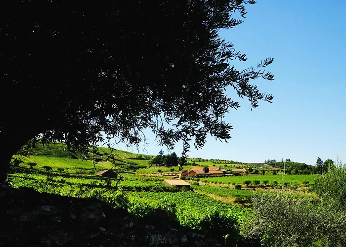 Quinta Do Monte Travesso - Country & Winery 4*