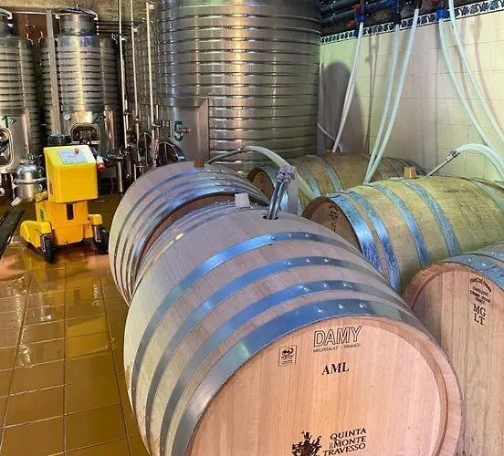 Quinta Do Monte Travesso - Country & Winery Gasthof 4*