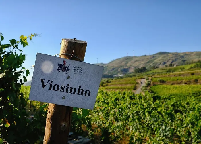 Gasthof Quinta Do Monte Travesso - Country & Winery 4*