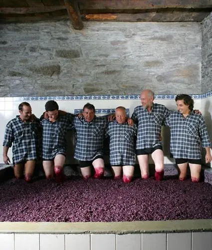 Gasthof Quinta Do Monte Travesso - Country & Winery Tabuaço