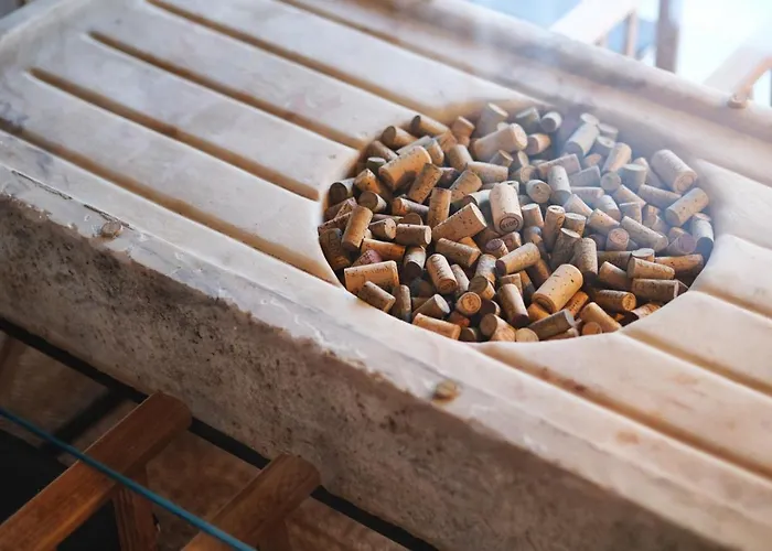 Quinta Do Monte Travesso - Country & Winery 4*