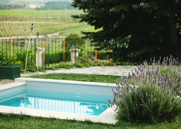 Quinta Do Monte Travesso - Country & Winery 4*