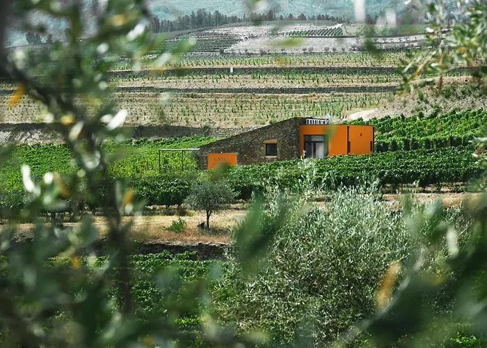 Quinta Do Monte Travesso - Country & Winery 4*